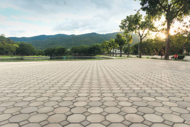 Best Driveway Repair Near Me  in Lake City, AR