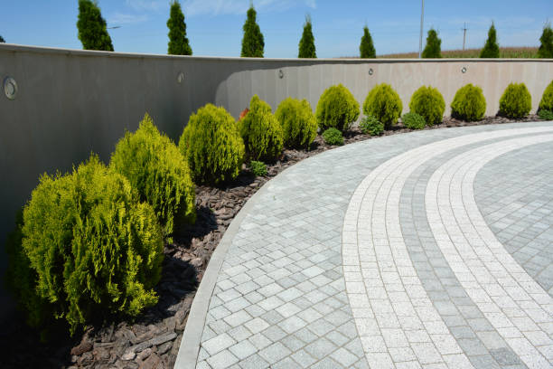 Best Professional Driveway Pavers  in Lake City, AR